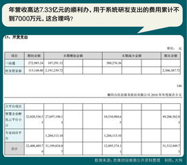 主营业务实为代理记账 顺利办号称 互联网服务商 水分几许